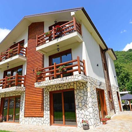 Villa 'Iva' Mavrovo Exterior photo